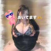 ヒメ日記 2025/11/11 10:54 投稿 あげは 沖縄ちゃんこ那覇店