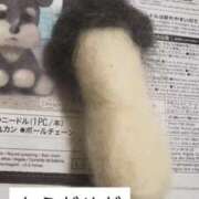 ヒメ日記 2025/11/16 00:04 投稿 あげは 沖縄ちゃんこ那覇店