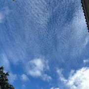 ヒメ日記 2026/01/17 10:54 投稿 あげは 沖縄ちゃんこ那覇店