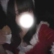 ヒメ日記 2025/12/24 14:25 投稿 はなび ミルキーパイ