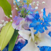 ヒメ日記 2025/07/26 18:30 投稿 みれい 奥鉄オクテツ兵庫