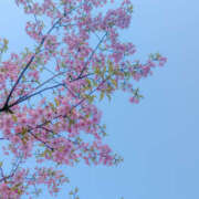 みれい こんばんは❤️ 奥鉄オクテツ兵庫