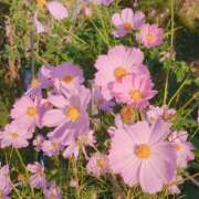 ヒメ日記 2025/10/25 18:15 投稿 みれい 奥鉄オクテツ奈良