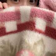 ヒメ日記 2024/12/26 10:49 投稿 ほたる ウルトラハピネス