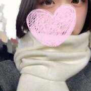 ヒメ日記 2025/01/12 16:19 投稿 ほたる ウルトラハピネス