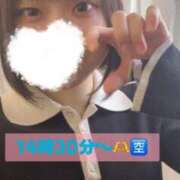 ヒメ日記 2025/01/13 12:38 投稿 ほたる ウルトラハピネス