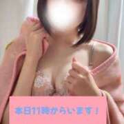 ヒメ日記 2025/02/18 10:09 投稿 ほたる ウルトラハピネス