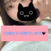 ヒメ日記 2025/02/22 11:19 投稿 ほたる ウルトラハピネス