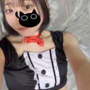 ヒメ日記 2025/02/22 21:29 投稿 ほたる ウルトラハピネス