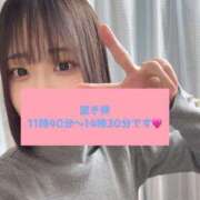 ヒメ日記 2025/02/23 09:39 投稿 ほたる ウルトラハピネス