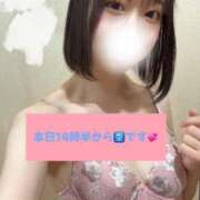 ヒメ日記 2025/03/01 12:11 投稿 ほたる ウルトラハピネス