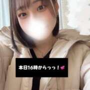 ヒメ日記 2025/03/08 08:48 投稿 ほたる ウルトラハピネス