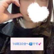 ヒメ日記 2025/03/09 12:49 投稿 ほたる ウルトラハピネス