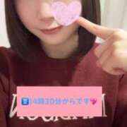 ヒメ日記 2025/03/20 11:36 投稿 ほたる ウルトラハピネス