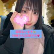 ヒメ日記 2025/04/02 18:49 投稿 ほたる ウルトラハピネス