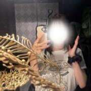 ヒメ日記 2025/09/14 07:39 投稿 ほたる ウルトラハピネス