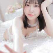 ヒメ日記 2025/10/26 07:29 投稿 ほたる ウルトラハピネス