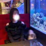 ヒメ日記 2026/02/16 17:21 投稿 ほたる ウルトラハピネス