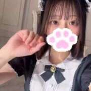 ヒメ日記 2026/04/11 18:50 投稿 ほたる ウルトラハピネス