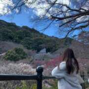 ヒメ日記 2025/02/20 07:03 投稿 藤沢★ Club夢