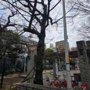 ヒメ日記 2025/03/04 07:20 投稿 藤沢★ Club夢