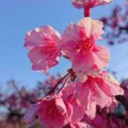 ヒメ日記 2025/03/07 07:06 投稿 藤沢★ Club夢