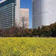 ヒメ日記 2025/03/09 07:05 投稿 藤沢★ Club夢