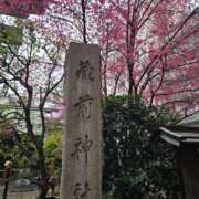 ヒメ日記 2025/03/15 07:03 投稿 藤沢★ Club夢