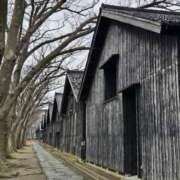 ヒメ日記 2025/03/19 16:32 投稿 藤沢★ Club夢