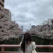 ヒメ日記 2025/04/03 07:04 投稿 藤沢★ Club夢