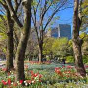 ヒメ日記 2025/04/14 07:06 投稿 藤沢★ Club夢