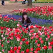 ヒメ日記 2025/04/17 08:58 投稿 藤沢★ Club夢