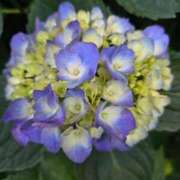 ヒメ日記 2025/05/22 07:09 投稿 藤沢★ Club夢