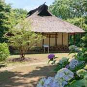 ヒメ日記 2025/06/22 07:07 投稿 藤沢★ Club夢