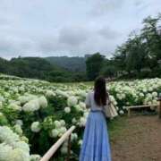 ヒメ日記 2025/06/26 07:14 投稿 藤沢★ Club夢