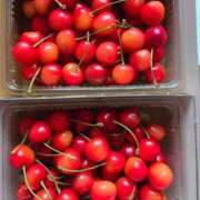 ヒメ日記 2025/06/27 07:06 投稿 藤沢★ Club夢