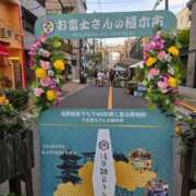 ヒメ日記 2025/06/29 07:04 投稿 藤沢★ Club夢