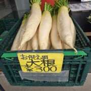 ヒメ日記 2025/07/03 07:06 投稿 藤沢★ Club夢