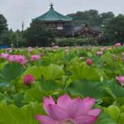 ヒメ日記 2025/07/17 06:53 投稿 藤沢★ Club夢