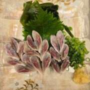 ヒメ日記 2025/07/27 08:41 投稿 藤沢★ Club夢