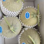 ヒメ日記 2025/07/28 08:03 投稿 藤沢★ Club夢