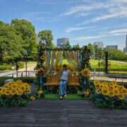 ヒメ日記 2025/08/18 08:42 投稿 藤沢★ Club夢