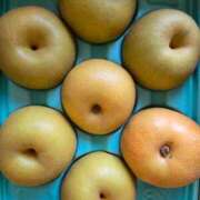 ヒメ日記 2025/09/05 08:38 投稿 藤沢★ Club夢