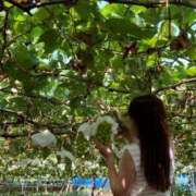 ヒメ日記 2025/09/11 09:02 投稿 藤沢★ Club夢