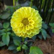 ヒメ日記 2025/09/26 08:13 投稿 藤沢★ Club夢