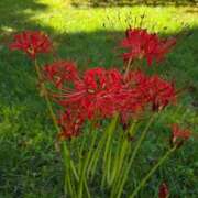 ヒメ日記 2025/10/01 08:37 投稿 藤沢★ Club夢