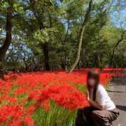 ヒメ日記 2025/10/03 08:06 投稿 藤沢★ Club夢