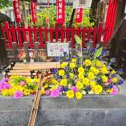 ヒメ日記 2025/10/08 08:08 投稿 藤沢★ Club夢