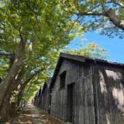 ヒメ日記 2025/10/09 16:08 投稿 藤沢★ Club夢