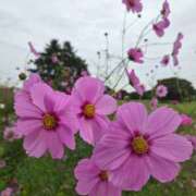 ヒメ日記 2025/10/23 08:35 投稿 藤沢★ Club夢